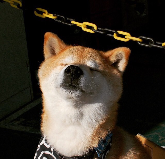 乐鱼app-美方换气节奏三年趋于更紧密